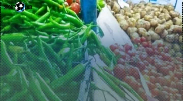 تعرف على سعر الطماطم اليوم الخميس 30-10-2025 في المنوفية